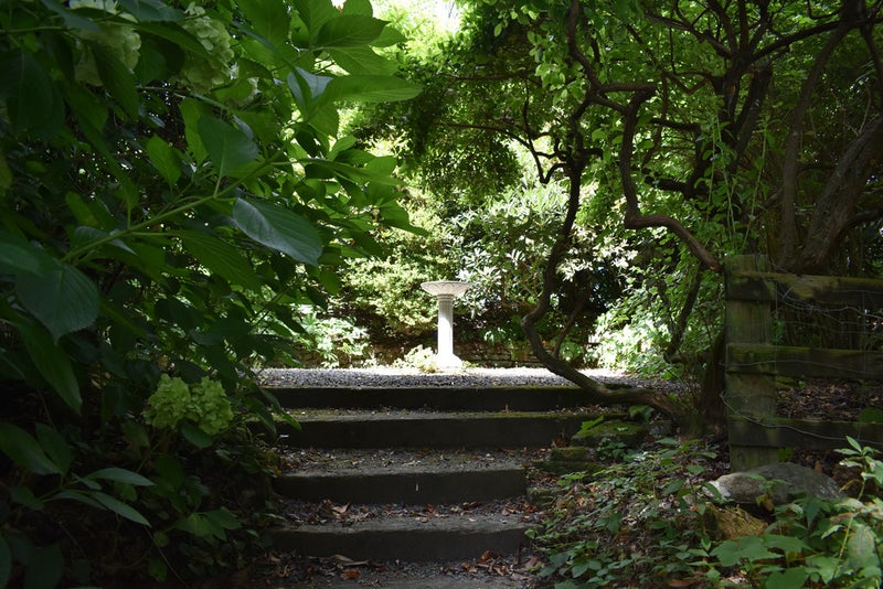 8 Scotia Glen Street, Putāruru - Carousel 21