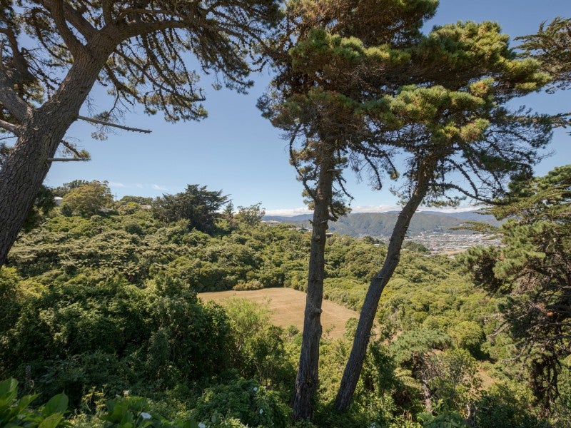 108 Miromiro Road, Normandale, Lower Hutt - Carousel 17