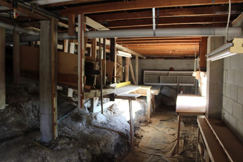 23 Falcon Street, Kaikorai, Dunedin - Carousel 23