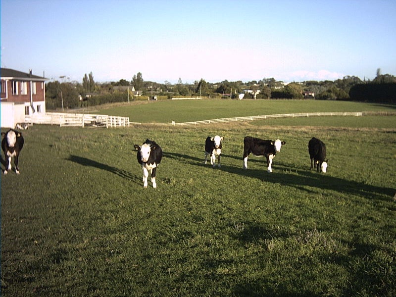 65 Kauri Mountain Road, TAIHARURU - Carousel 2