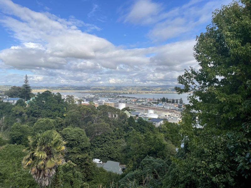 24 Roslyn Road, Bluff Hill, Napier - Carousel 1