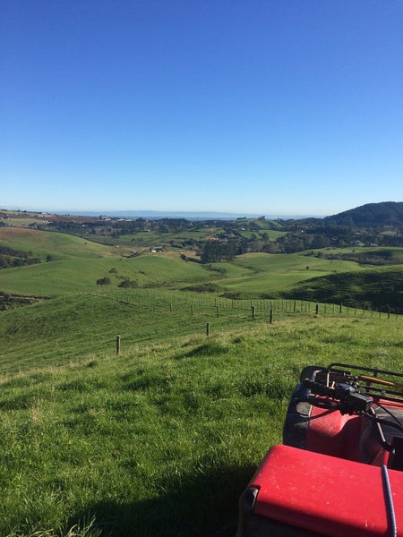 68 Kimber Road, Bombay - Carousel 2