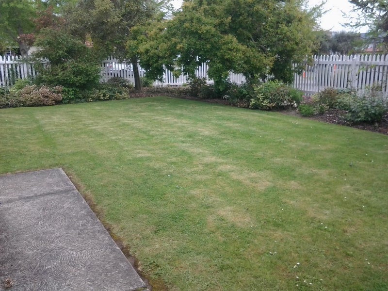 95 Halifax Street East, The Wood, Nelson - Carousel 8