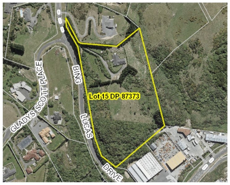 40 Bing Lucas Drive, Tawa, Wellington - Carousel 27