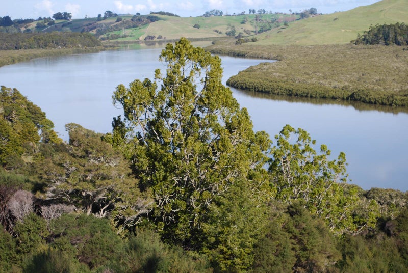 0 Waimanu Road, Topuni, Wellsford - Carousel 1