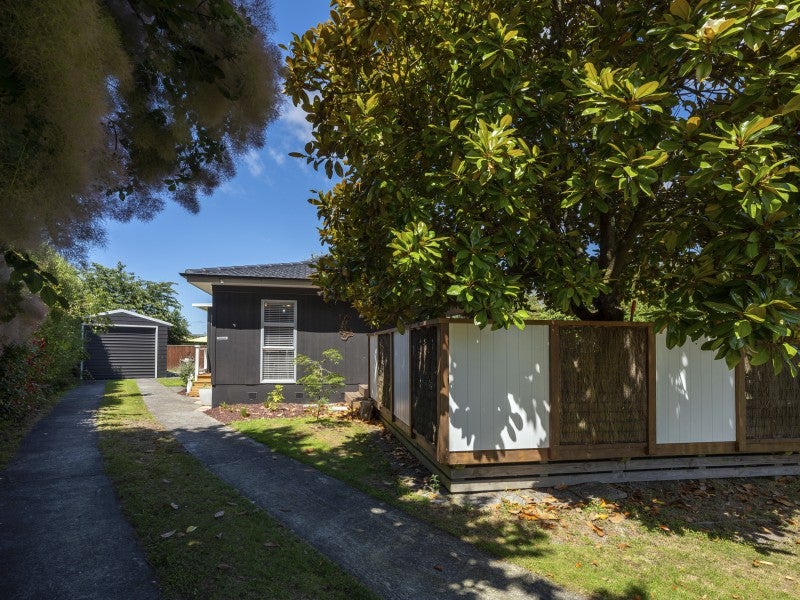 17 Irwin Place, Taupo - Carousel 25