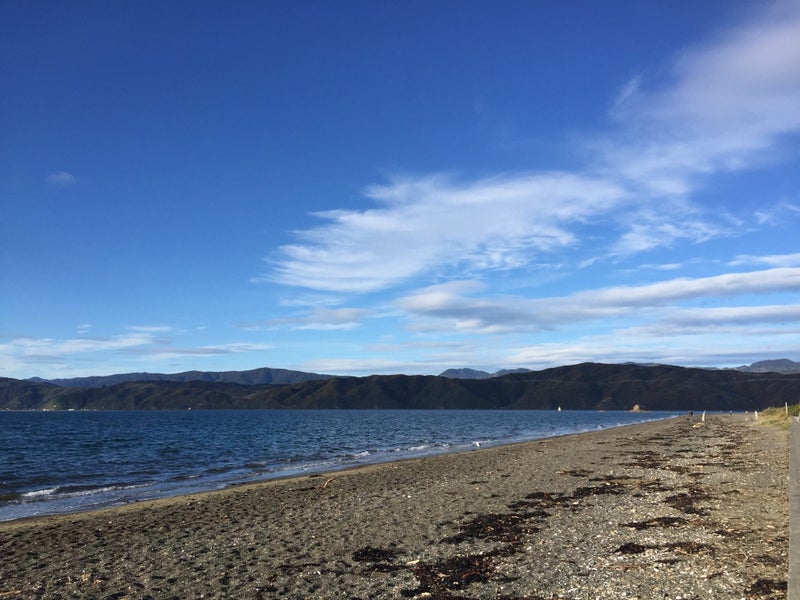 19A Mantell Street, Seatoun, Wellington - Carousel 23