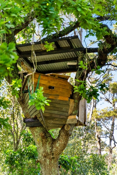 101 Maraetai Drive, Maraetai, Auckland - Carousel 43