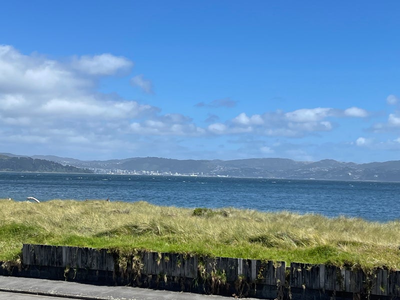 1/9 Marine Parade, Eastbourne, Lower Hutt - Carousel 21