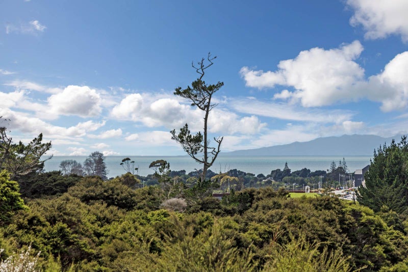 82 Vaughans Road, Albany - Carousel 37