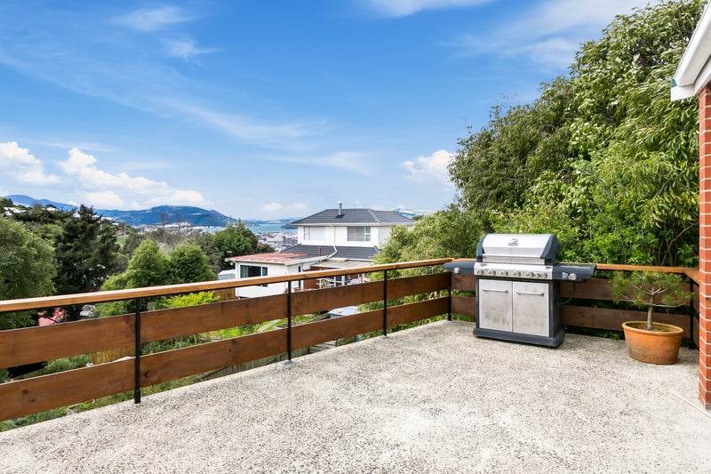 163 Sidey Street, Calton Hill, Dunedin - Carousel 17