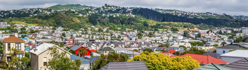 2/46 Hiropi Street, Newtown, Wellington - Carousel 13