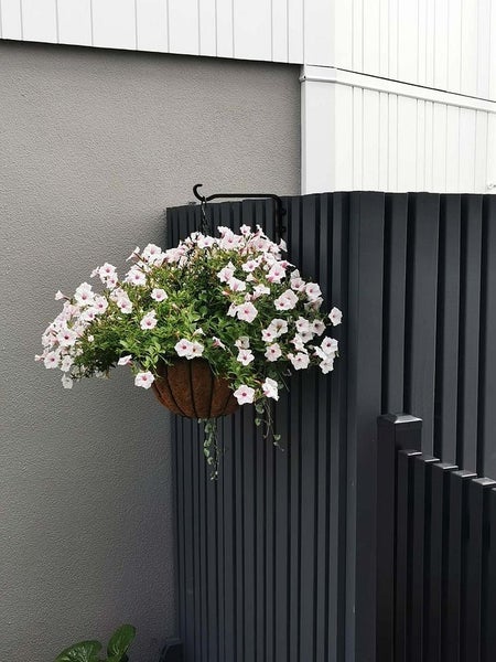 15B Kiri Place, Mairangi Bay, Auckland - Carousel 16