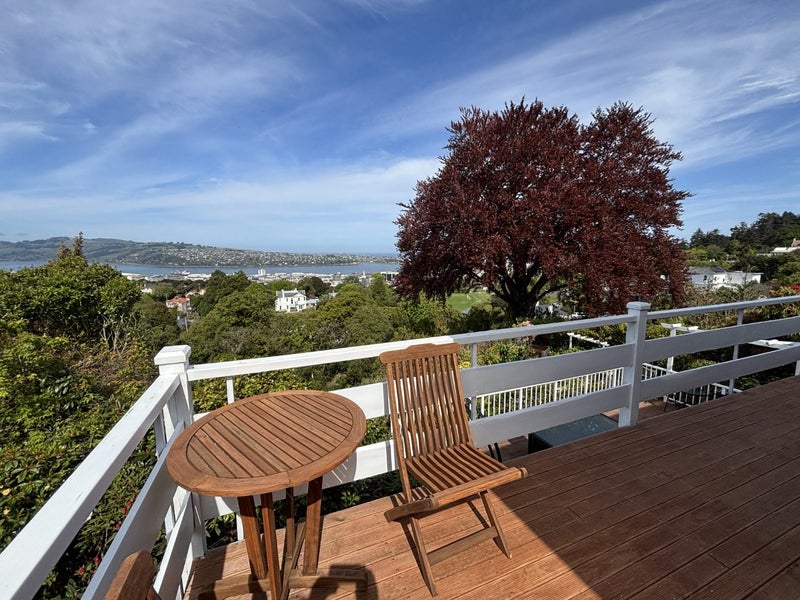 30 Tweed Street, Roslyn, Dunedin - Carousel 1