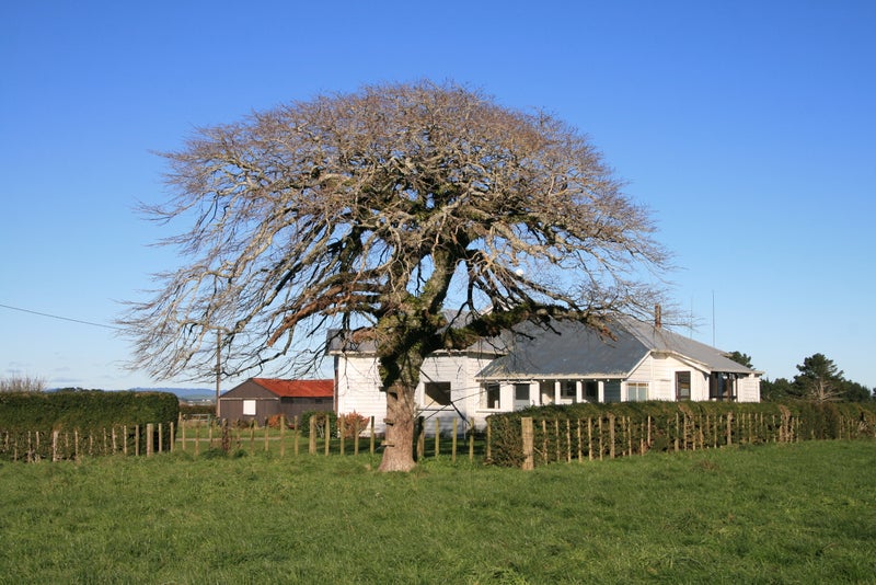 281 Climie Road, Ngaere - Carousel 2