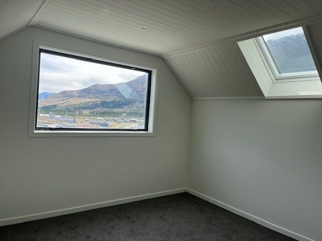 10 Runholder Rise, Jacks Point, Queenstown - Carousel 9