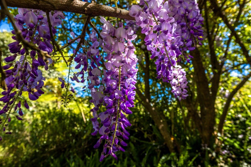 25 Makora Avenue, Oneroa, Waiheke Island - Carousel 26