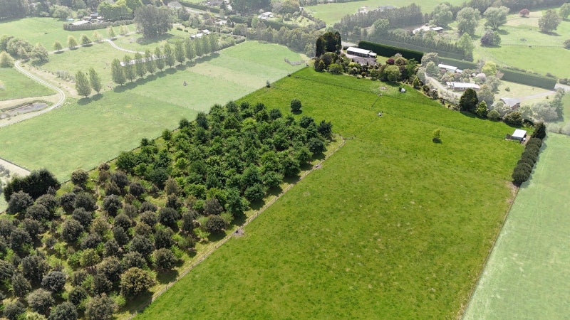 1156 Braemar Road, Whakatane - Carousel 40