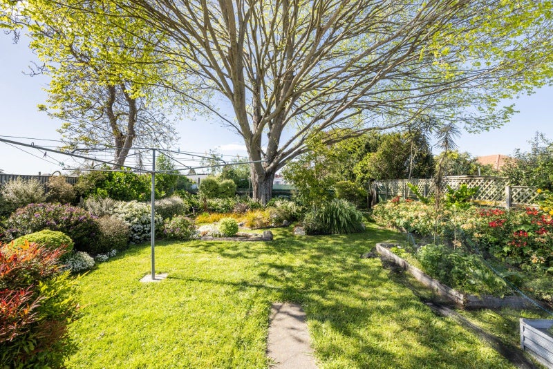 705 Kowhai Street, Mahora, Hastings - Carousel 14
