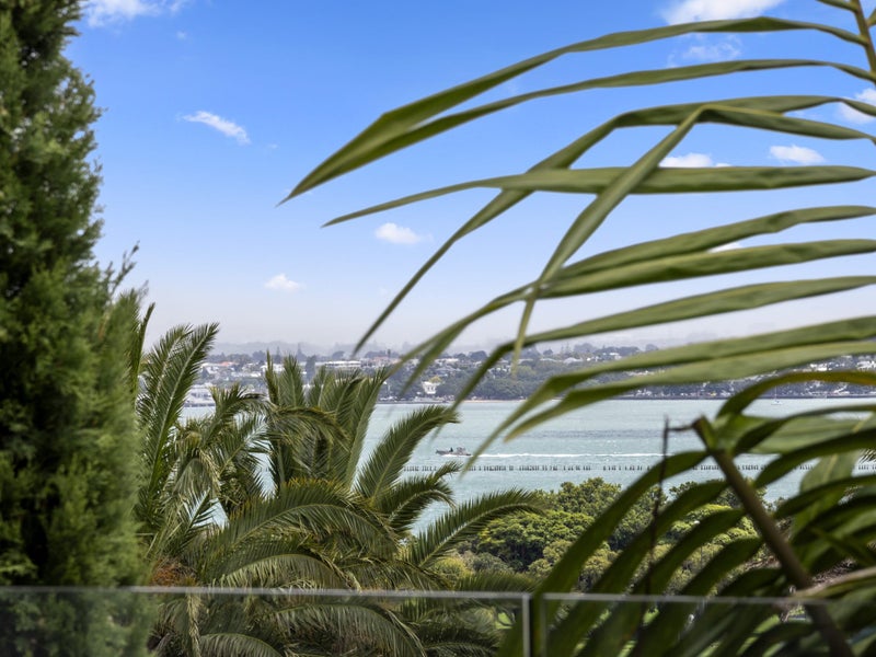 41 Ngake Street, Orakei, Auckland - Carousel 2