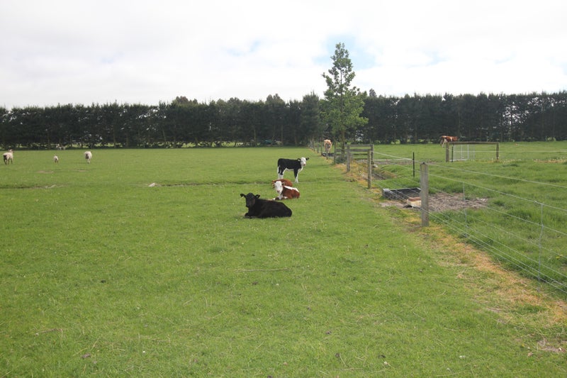 269 School Road, Rangiora - Carousel 2