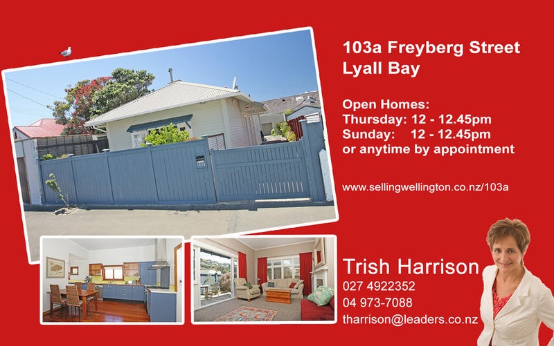 103A Freyberg Street, Lyall Bay, Wellington - Carousel 18