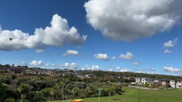 7 Dunkineely Road, Flat Bush, Auckland - Carousel 16