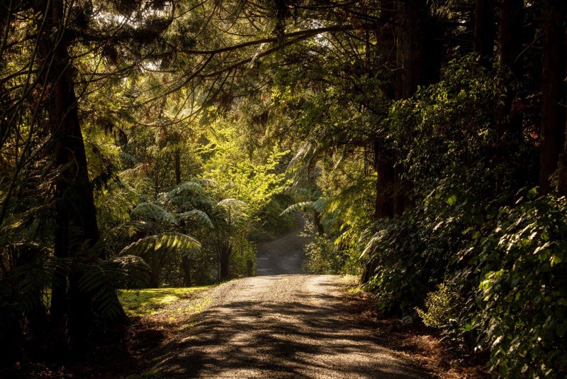 2B DEEP CREEK RD, Torbay, Auckland - Carousel 1