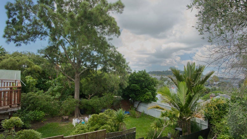 48 Dean Street, Grey Lynn, Auckland - Carousel 2