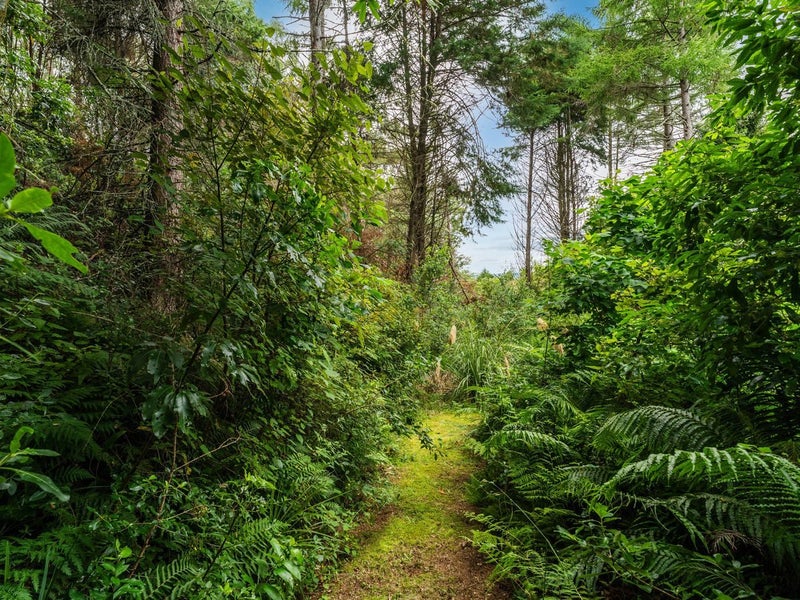 55 Stewart Glen, Taupo - Carousel 29