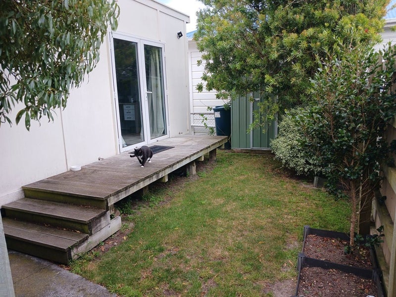 76 Russell Terrace, Berhampore, Wellington - Carousel 2