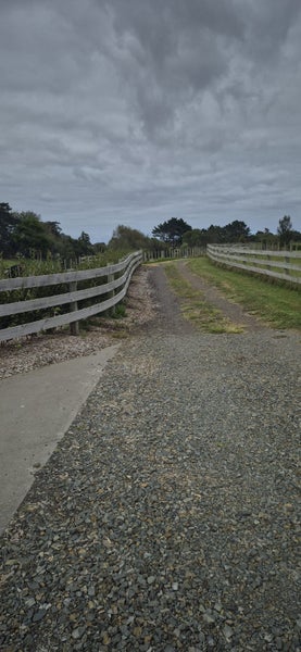 47 Codlin Road, Waiuku - Carousel 17