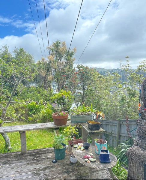 141 Coromandel Street, Newtown, Wellington - Carousel 12