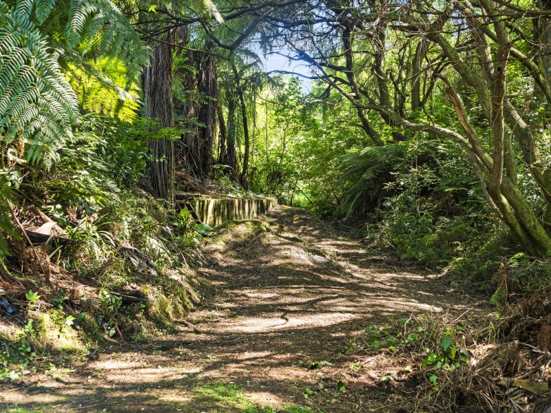 33 Silkwood Way, Tauriko, Tauranga - Carousel 35