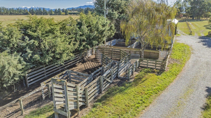 1349 Wolffs Road, Rangiora - Carousel 20