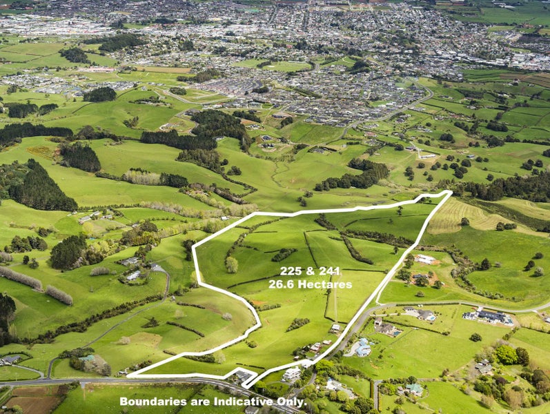 225 Runciman Road, Ramarama, Drury - Carousel 18