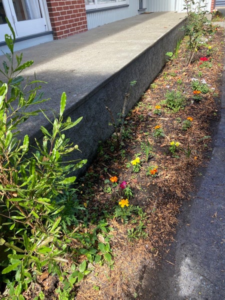 55 Woodbury Street, Russley, Christchurch - Carousel 41