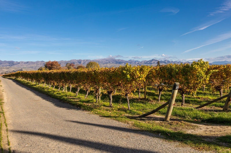 322 Middle Renwick Road, SPRINGLANDS, BLENHEIM - Carousel 13