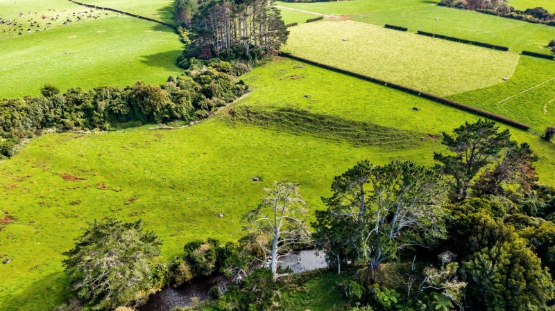 89A Cornwall Road, Hawera - Carousel 28