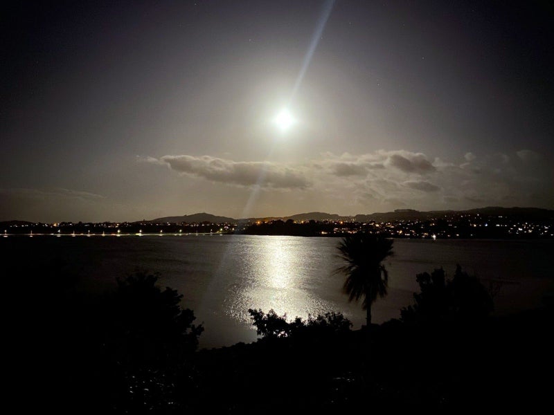 49 Baycroft Avenue, Parkvale, Tauranga - Carousel 43