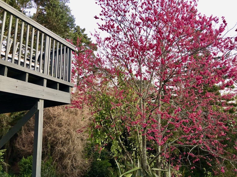 18A Waiatarua Road, Remuera, Auckland - Carousel 19