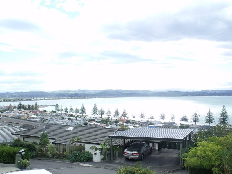 23 Roslyn Road, Bluff Hill, Napier - Carousel 1