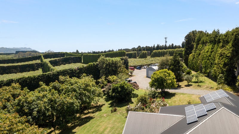 260 Athenree Road, Athenree, Katikati - Carousel 26