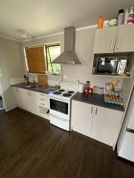 101A Rimu Street, Maeroa, Hamilton - Carousel 2