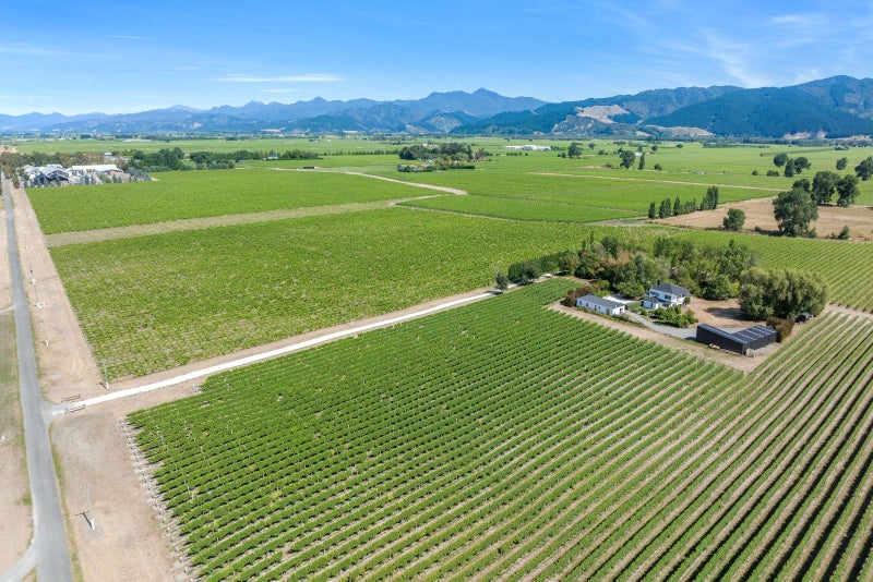 115 Matthews Lane, Rapaura - Carousel 31