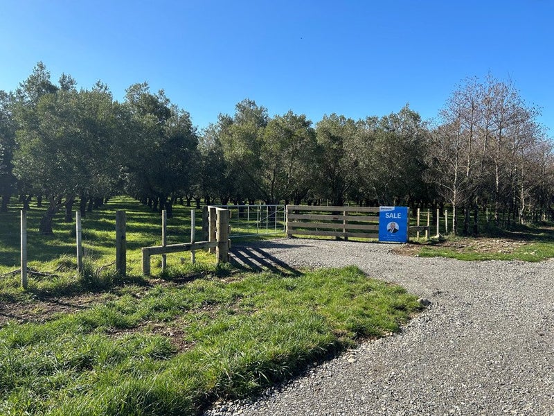 224A State Highway 53, South Featherston, Featherston - Carousel 27