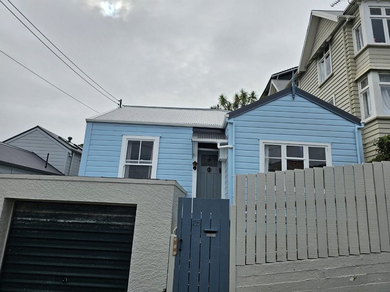 105 Elizabeth Street, Mount Victoria, Wellington - Carousel 23