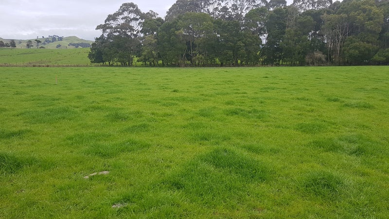 0 Kaipara Hills Road, Kaipara Flats, Warkworth - Carousel 1