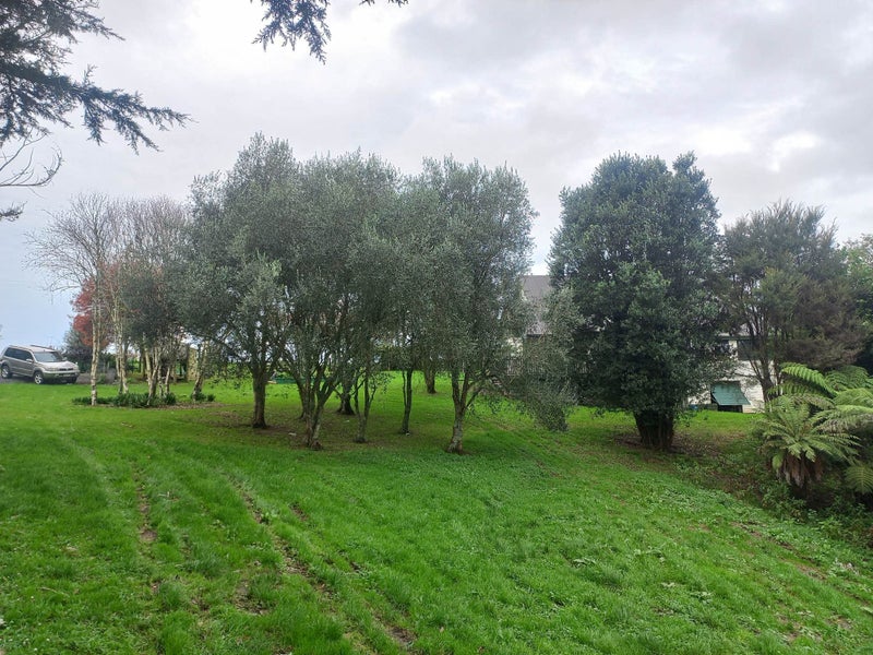 155 Woolrich Road, Te Kowhai - Carousel 27