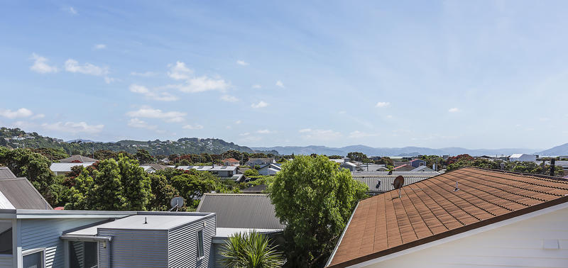 34 Mantell Street, Seatoun, Wellington - Carousel 20